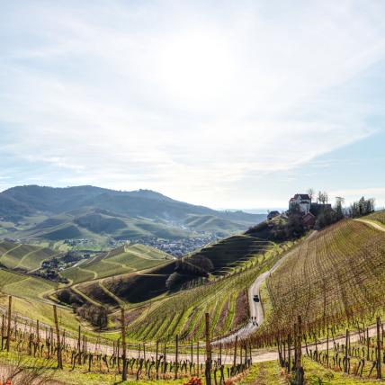 Solarzellen mit integriertem Energiespeicher