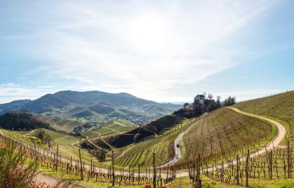 Solarzellen mit integriertem Energiespeicher