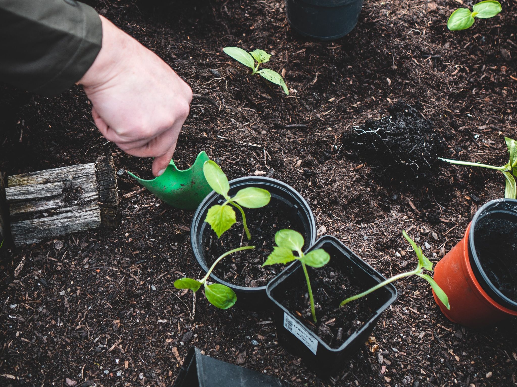 Lernen aus Überraschungen und Enttäuschungen