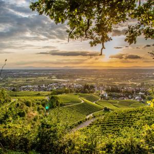 Klimaresonanzfenster