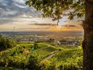 Klimaresonanzfenster